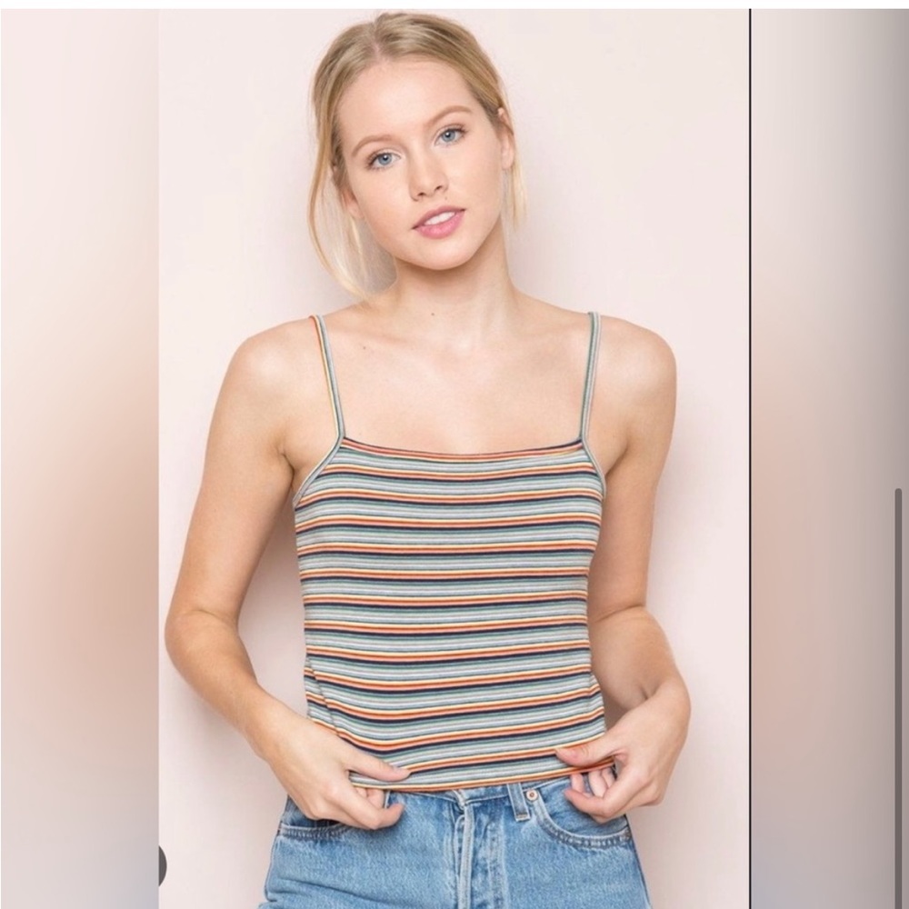 Brandy Melville Rainbow Crop Top